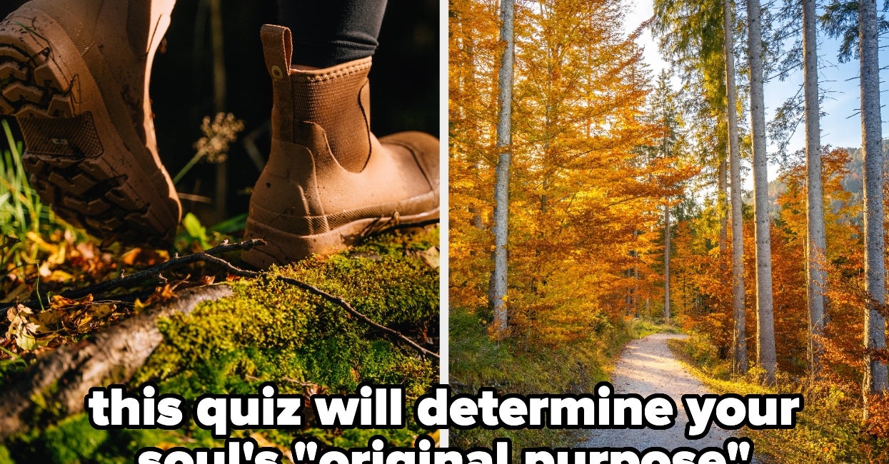 Pick A Path Through The Woods, And We'll Reveal Your Soul's "Original Purpose"