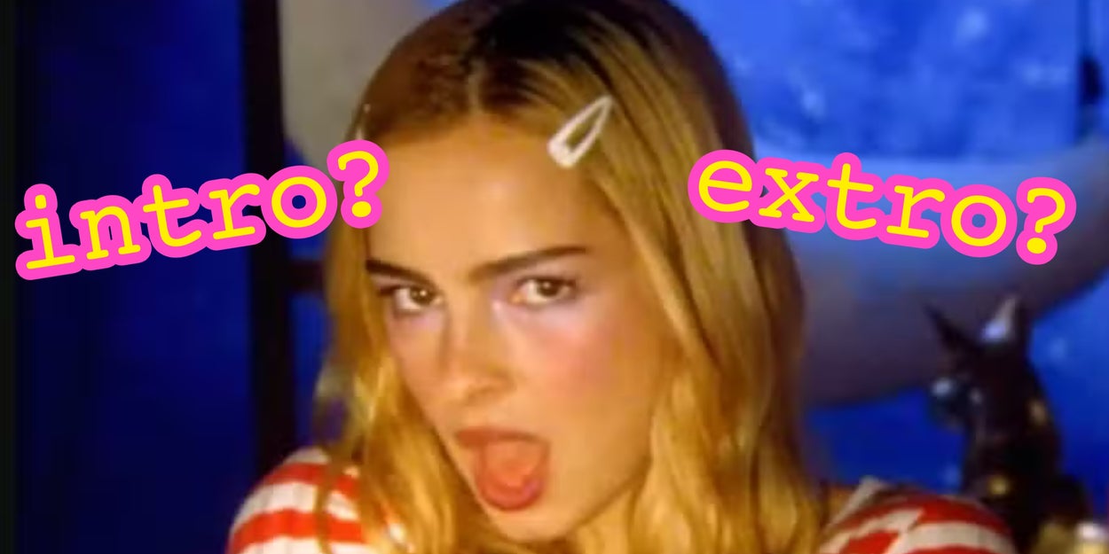 Are You ACTUALLY An Introvert, Extrovert, Ambivert... Or Something Else?