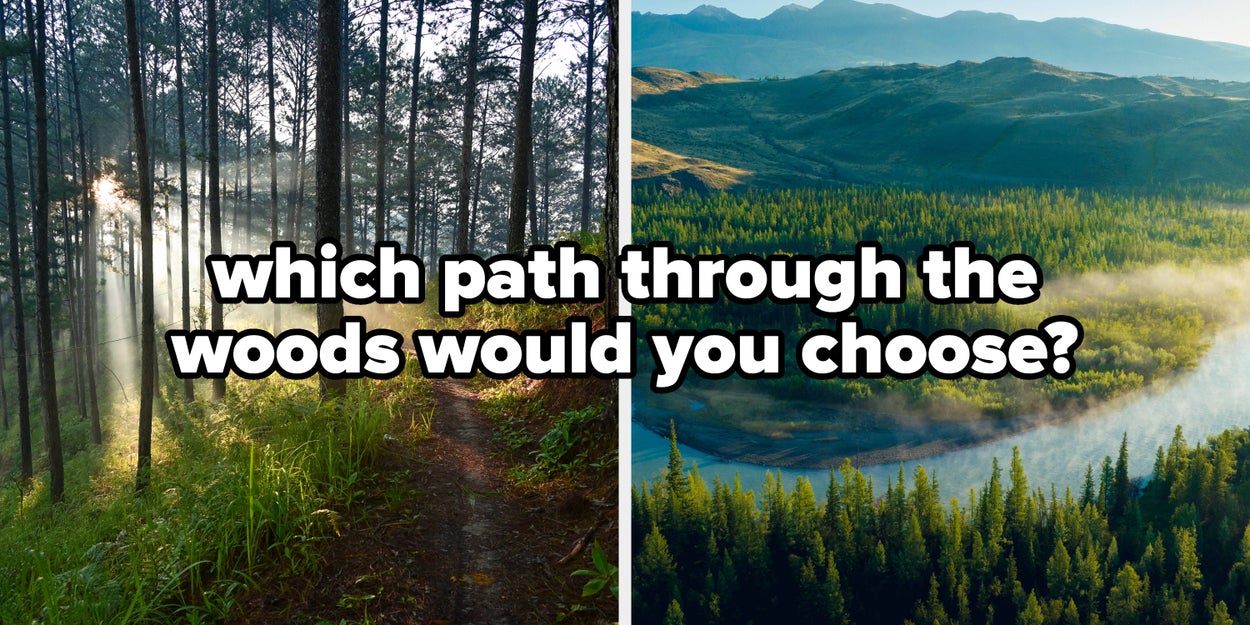 Pick A Path Through The Woods, And We'll Reveal Your Soul's "Original Purpose"