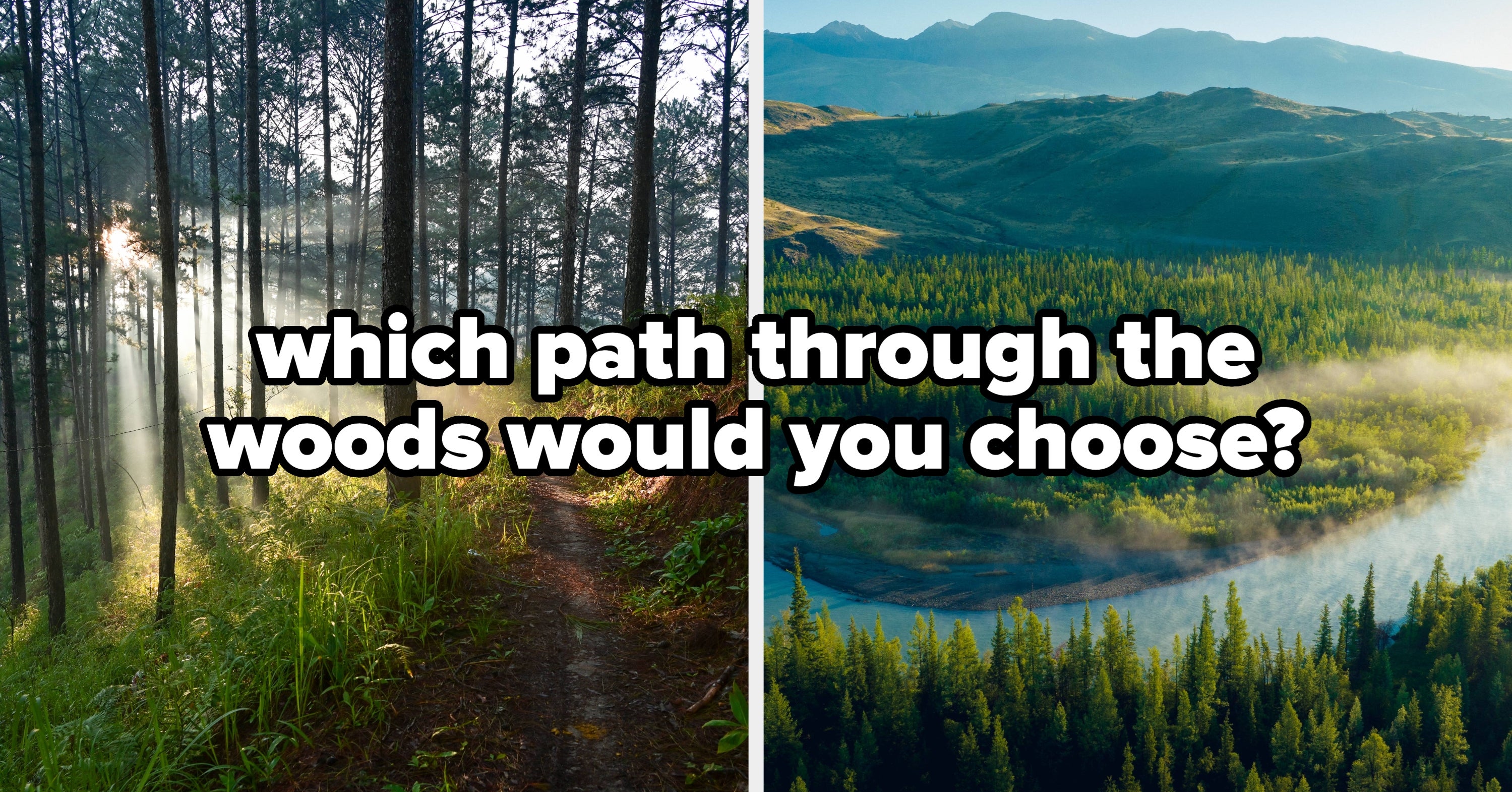 Pick A Path Through The Woods, And We'll Reveal Your Soul's "Original Purpose"