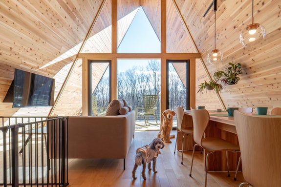 三角形の窓から庭が見えるおしゃれな木製のリビング。犬が2匹、室内で過ごしています。プレミアムドッグヴィラ-ノッカ-_リビングダイニング
