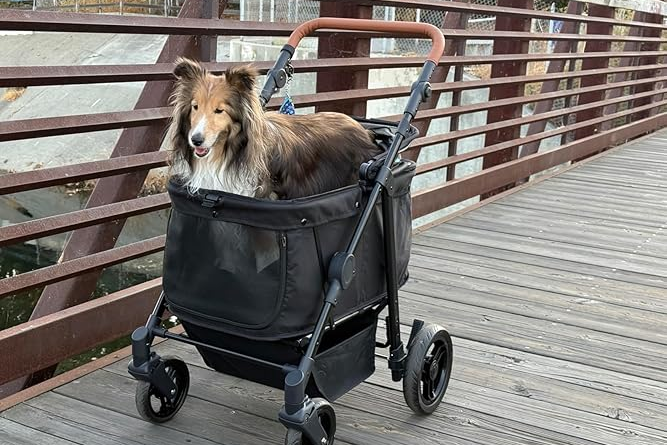 10 Top-Rated Pet Strollers For Taking Your Pets On The Go
