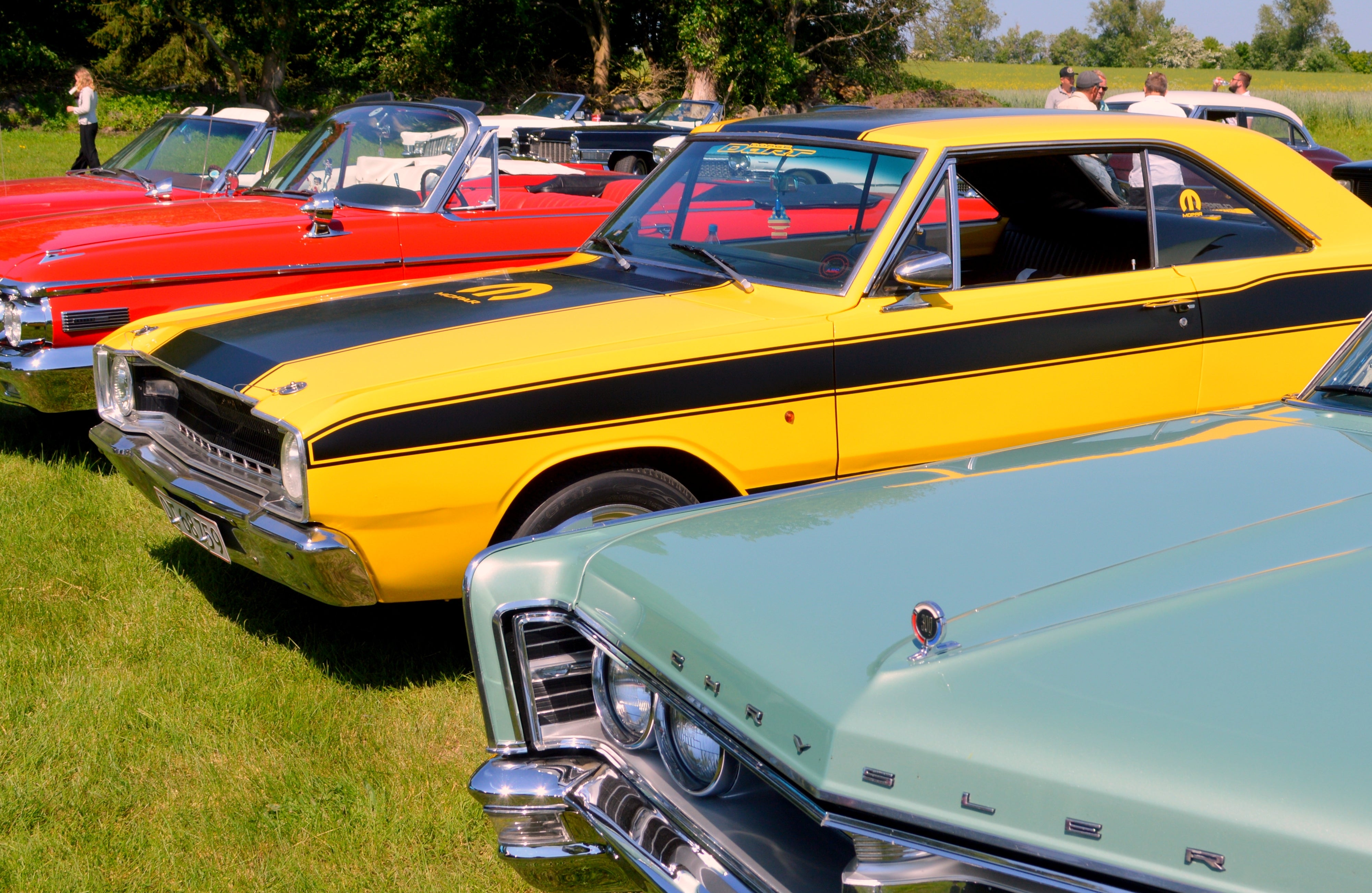 Classic cars displayed connected  a grassy country  during a sunny day, including a vintage Dodge with racing stripes and a Chrysler