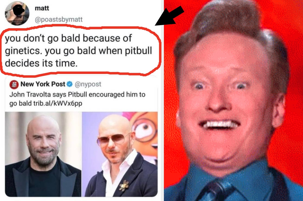 My Ribs Still Hurt After How Violently I Laughed At These 30 Random People Who Dropped The Absolute Funniest Roasts