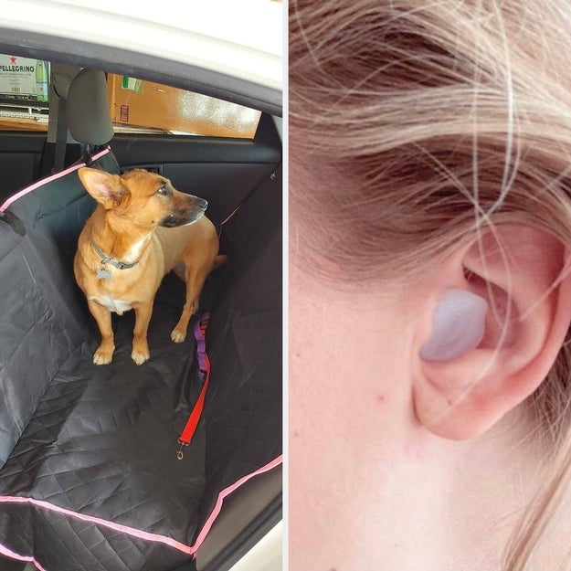Dog in a car on a pet seat cover; close-up of an ear with an earplug