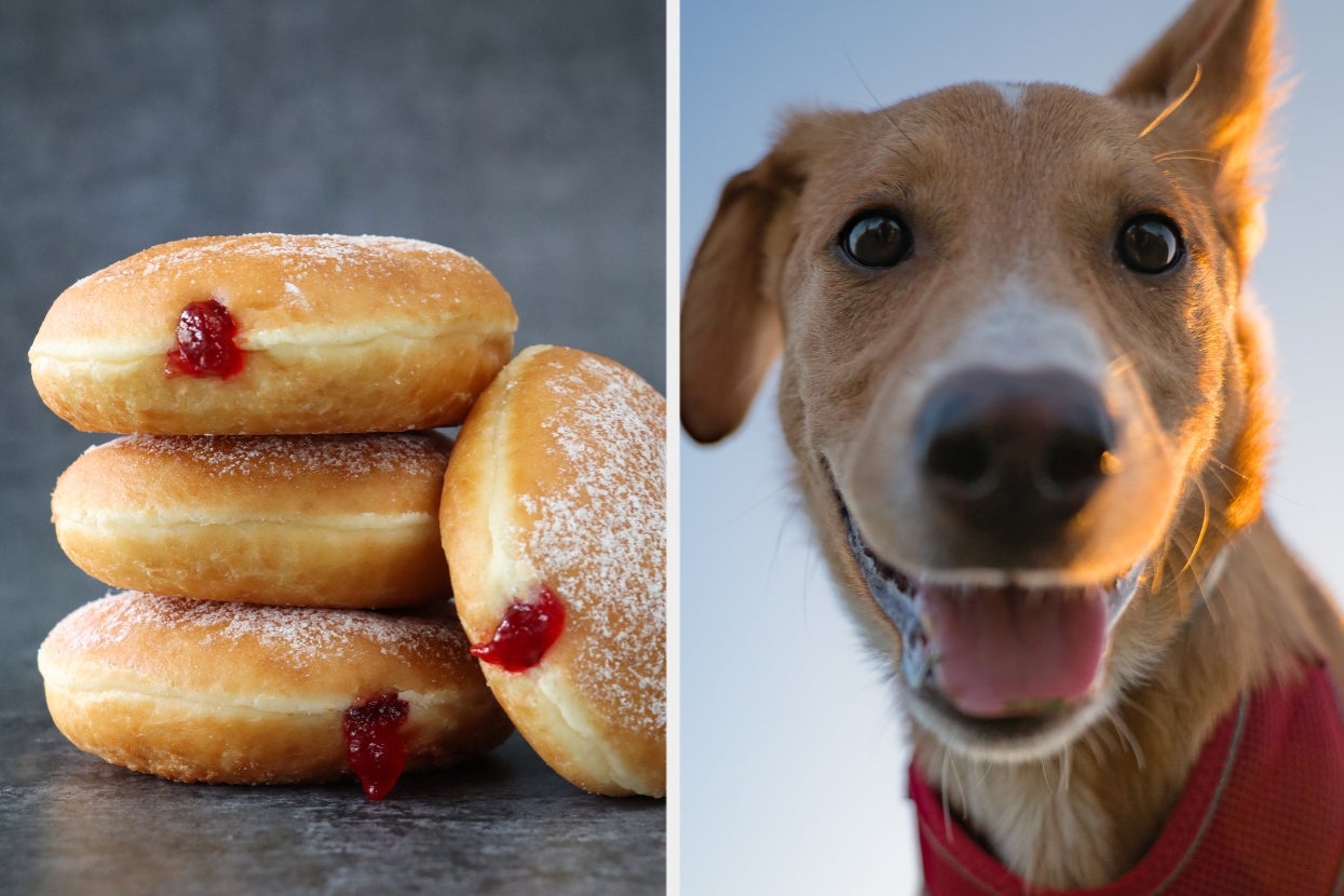 Eat A Huuuuuuuge Plate Of Food And I’ll Guess What Kind Of Dog You’d Be