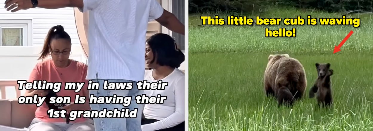 26 Wholesome Internet Moments That Are The Perfect Break From The Endless Doom Spiral