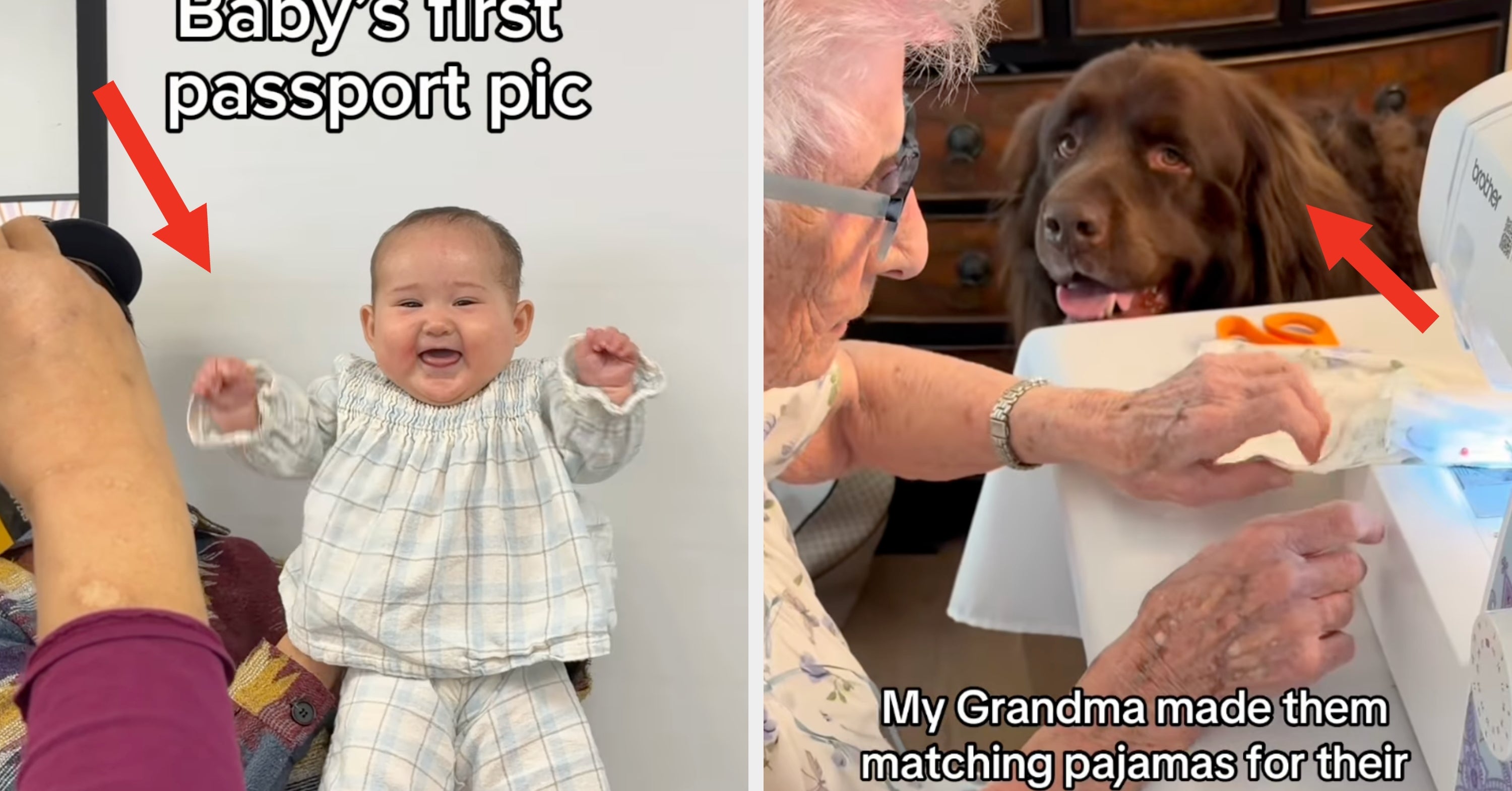 26 Wholesome Internet Posts That Are The Most Effective Mood-Lifters On The Internet Right Now