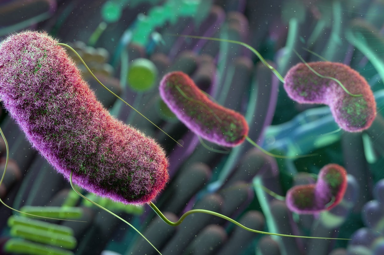 Five Gut Health Mistakes A Brain Ageing Expert Would Never Make