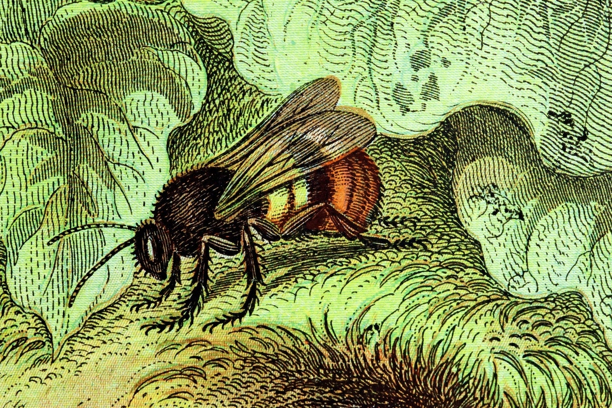 I’ve Gathered 8 Honeycore Activities, And The Buzz On The Street Is That One Of Them Is Perfect For You