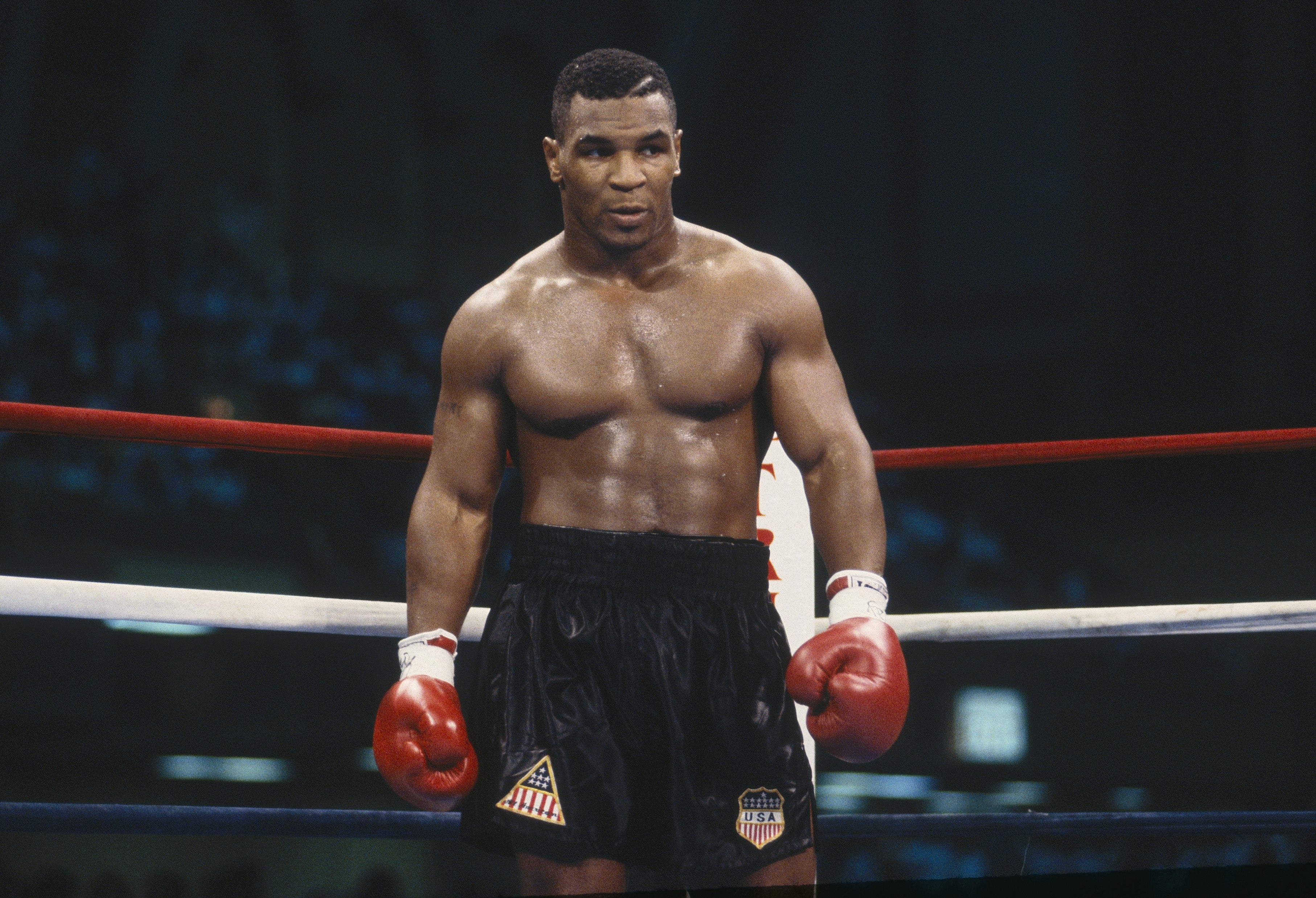 A boxer successful  the ringing  wears achromatic  shorts and reddish  gloves, looking focused earlier  a match