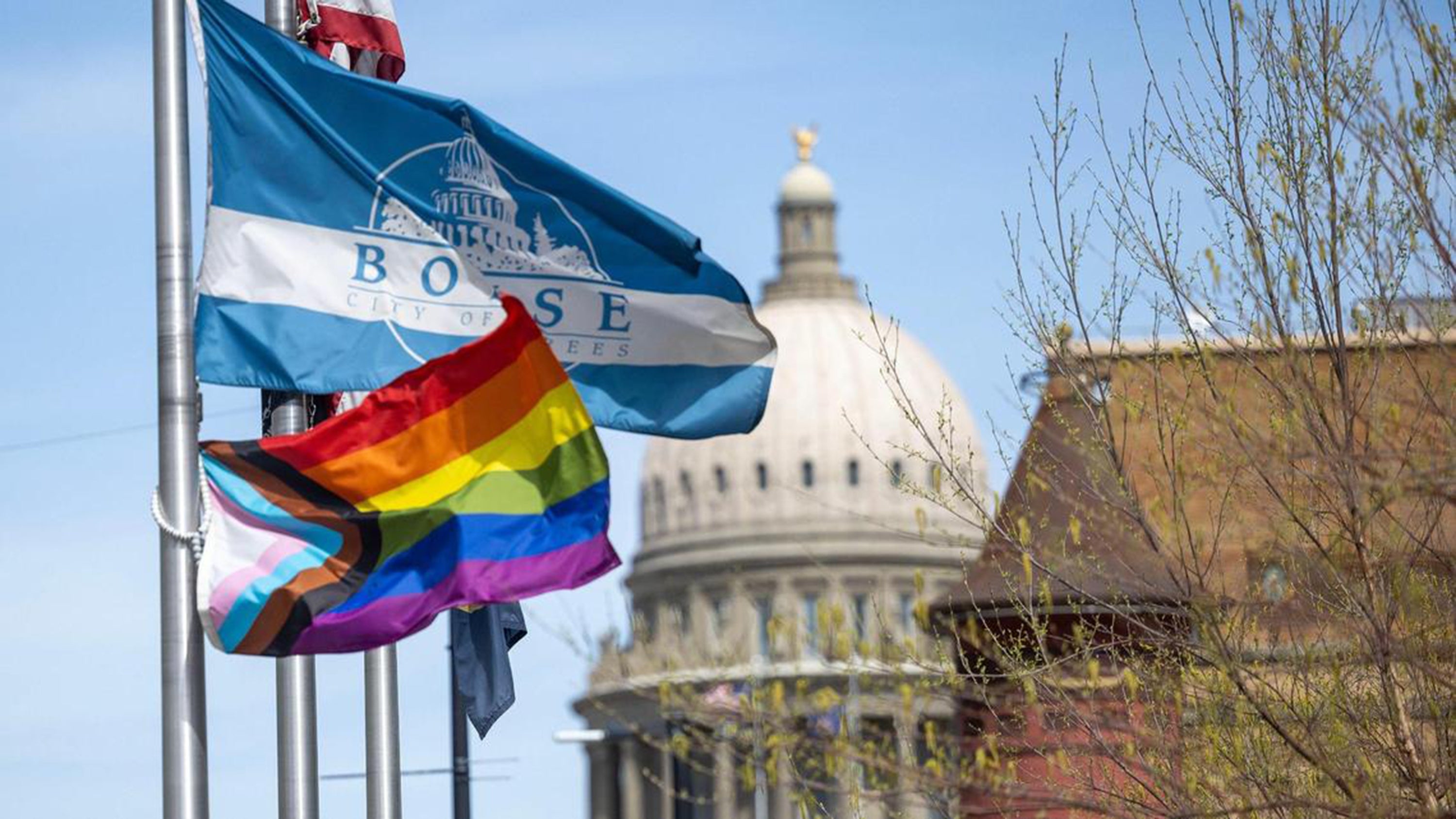 Progress Pride emblem  and Boise metropolis  emblem  adjacent   a domed building, with bare trees successful  the foreground