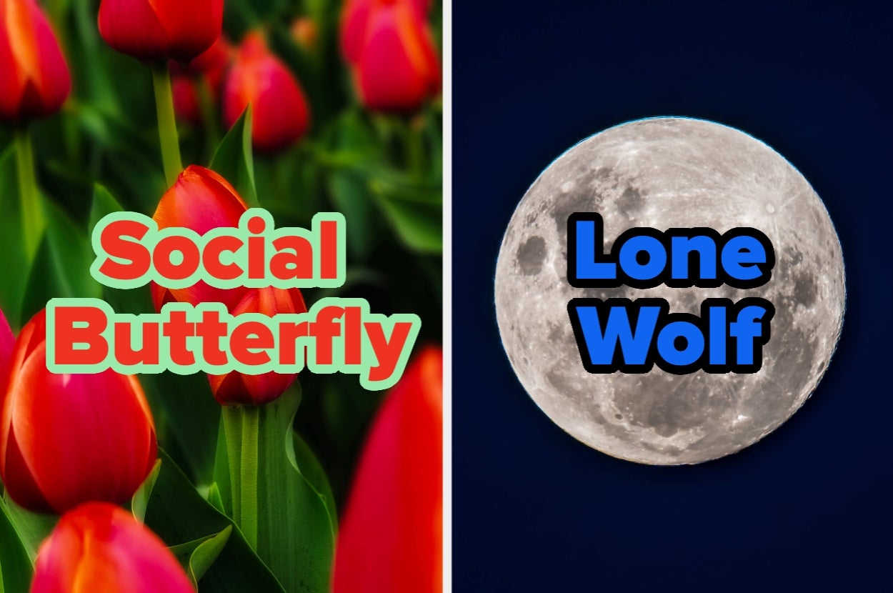 Answer These Random Questions And We'll Reveal If Your Social Battery Is Completely Drained Or Just Getting Started