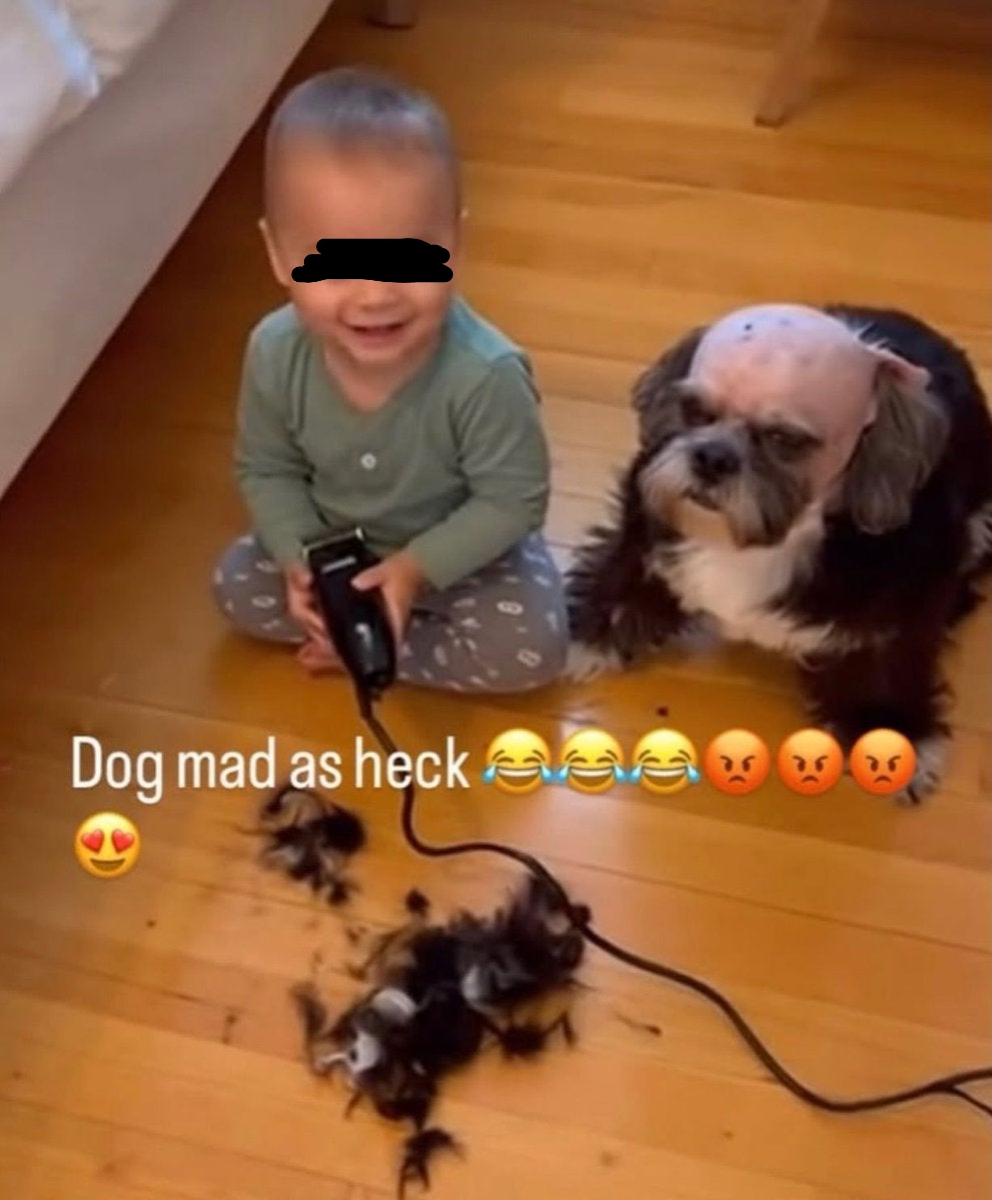 Baby smiles holding clippers near dog with trimmed hair, captioned "Dog mad as heck" with laughing and angry emojis