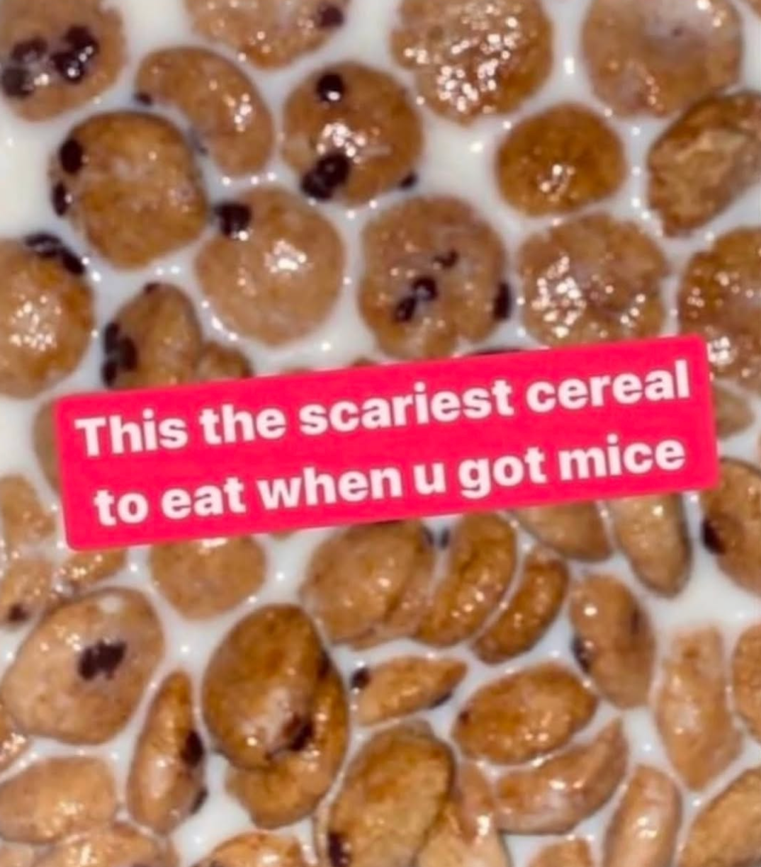 Cereal pieces floating in milk with a caption reading, "This the scariest cereal to eat when u got mice."