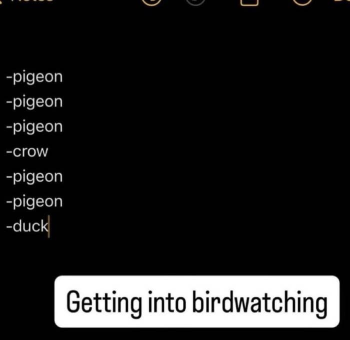 List of birds with a note saying, "Getting into birdwatching."