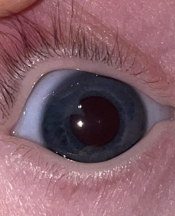 Post image 8
