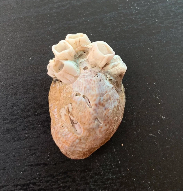 Post image 13