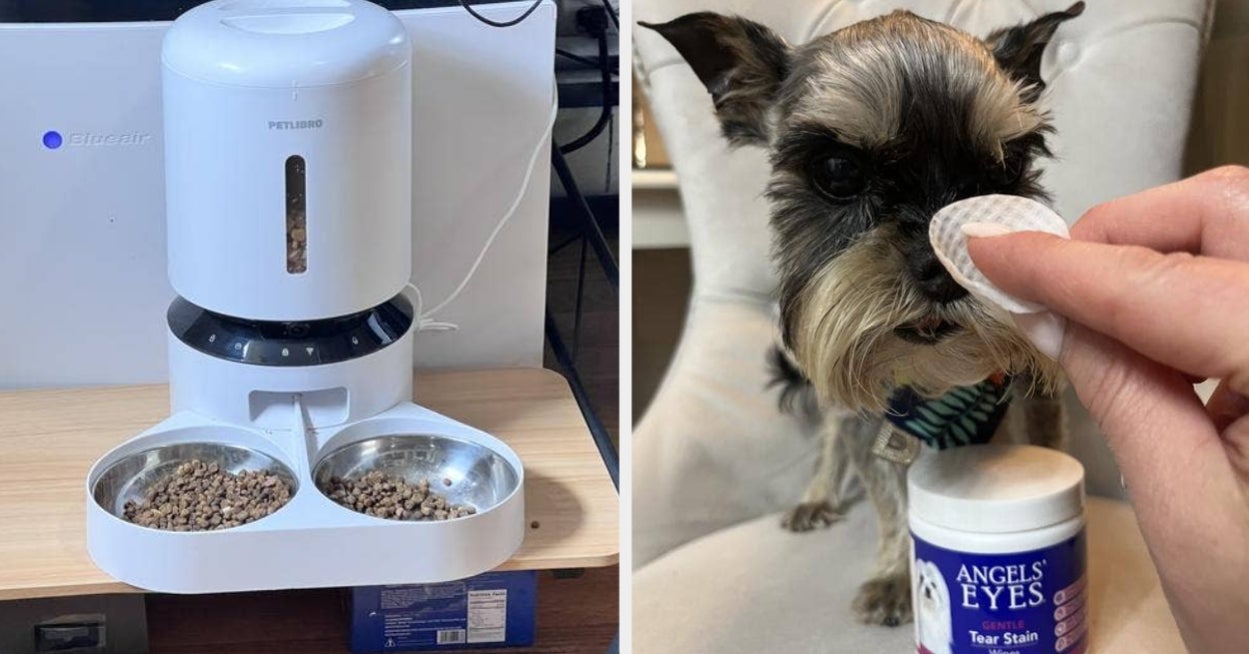 Anyone Who Owns A Dog Needs To See These 27 Game-Changing Products From Chewy ASAP