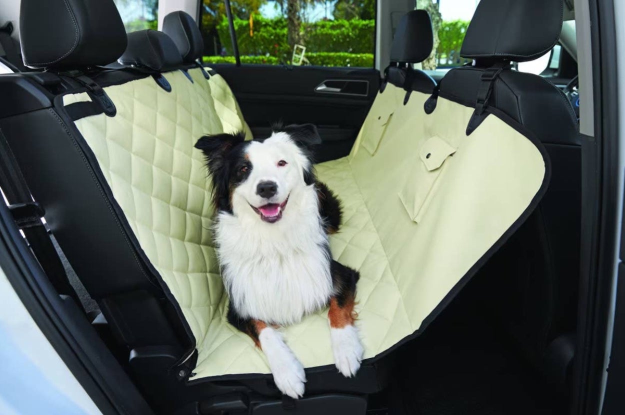 Dog sitting on a quilted seat cover in a car interior, facing the camera, with a happy expression