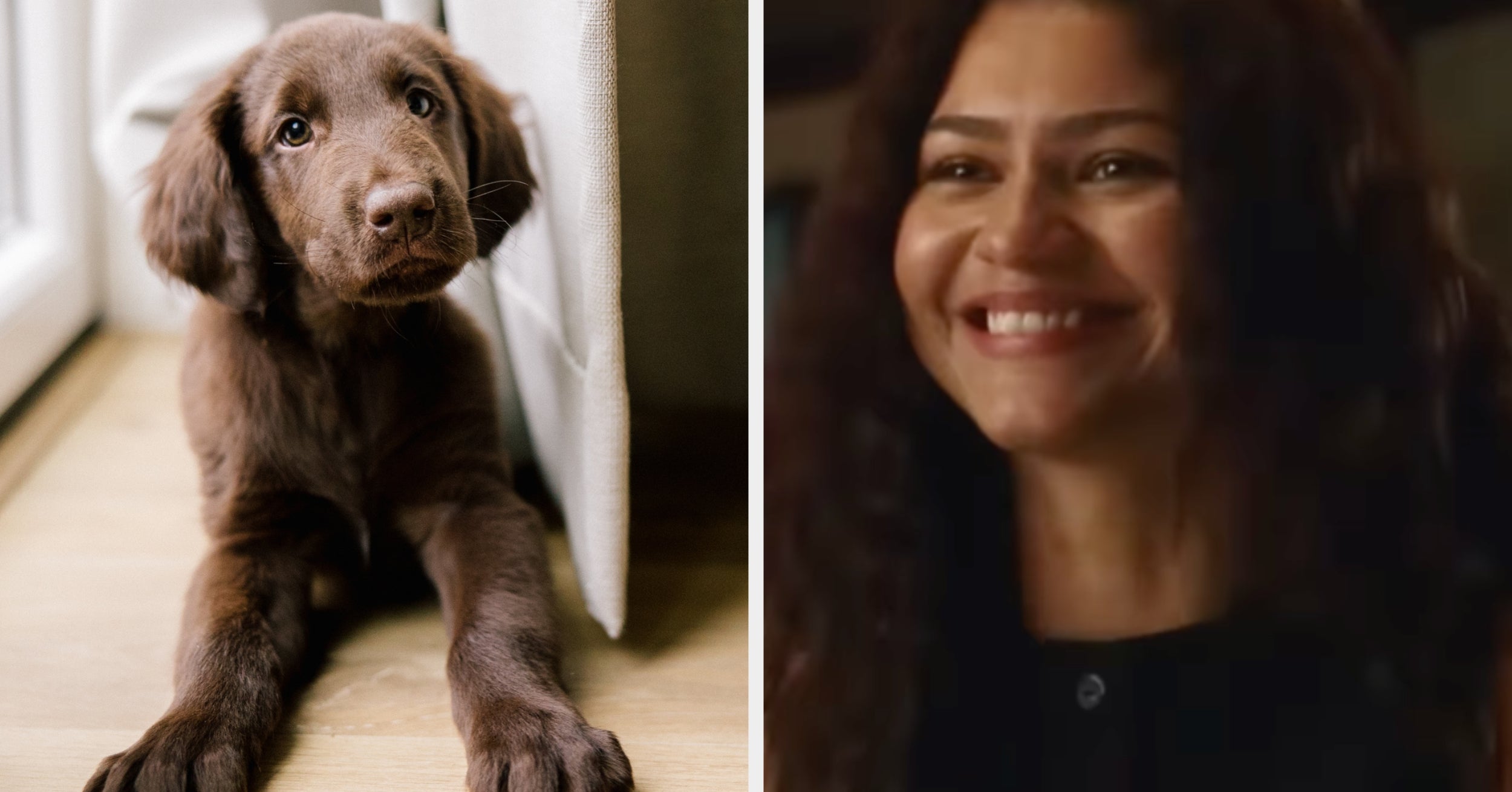 Pick Some Cute Animals And I'll Suggest A New Theater Release You Should Check Out This Weekend