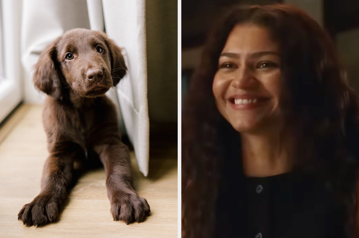 Pick Some Cute Animals And I'll Suggest A New Theater Release You Should Check Out This Weekend