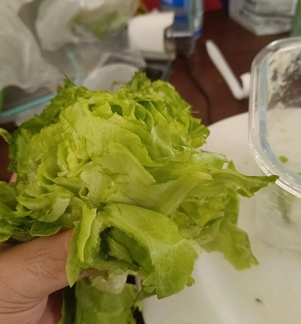 Seorang pria memegang segenggam selada di atas meja