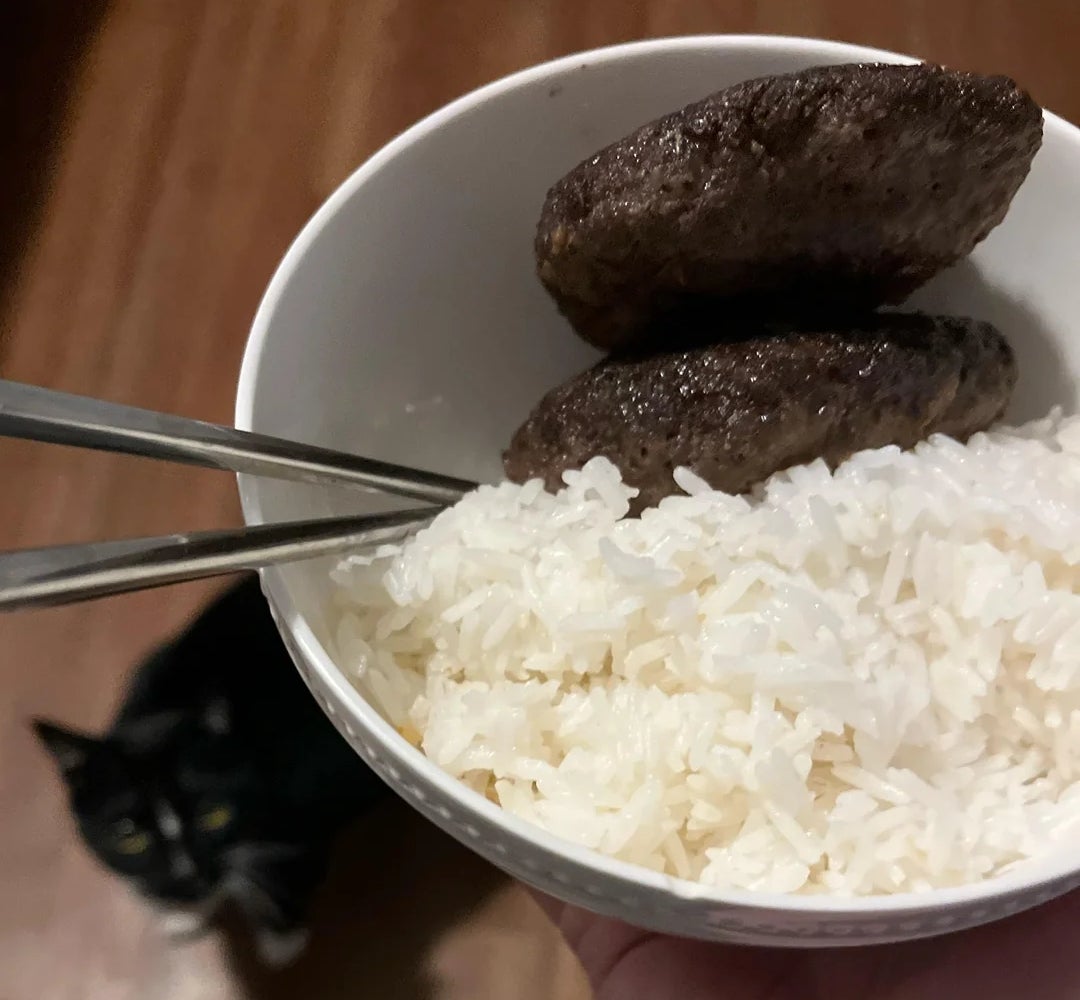 Semangkuk nasi putih dengan dua potong daging rusa dan sepasang sumpit, dengan seekor kucing mendongak dari lantai