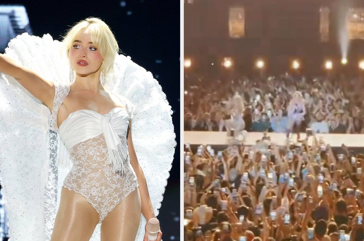 Performer on stage in a lace bodysuit with dramatic wings, engaging with a large, enthusiastic crowd at a concert