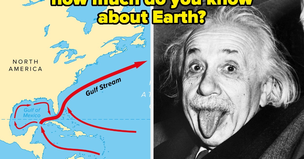 I'm Going To Have To Revoke Your Earth Citizenship If You Can't Ace This Ridiculously Simple Environment Trivia Quiz