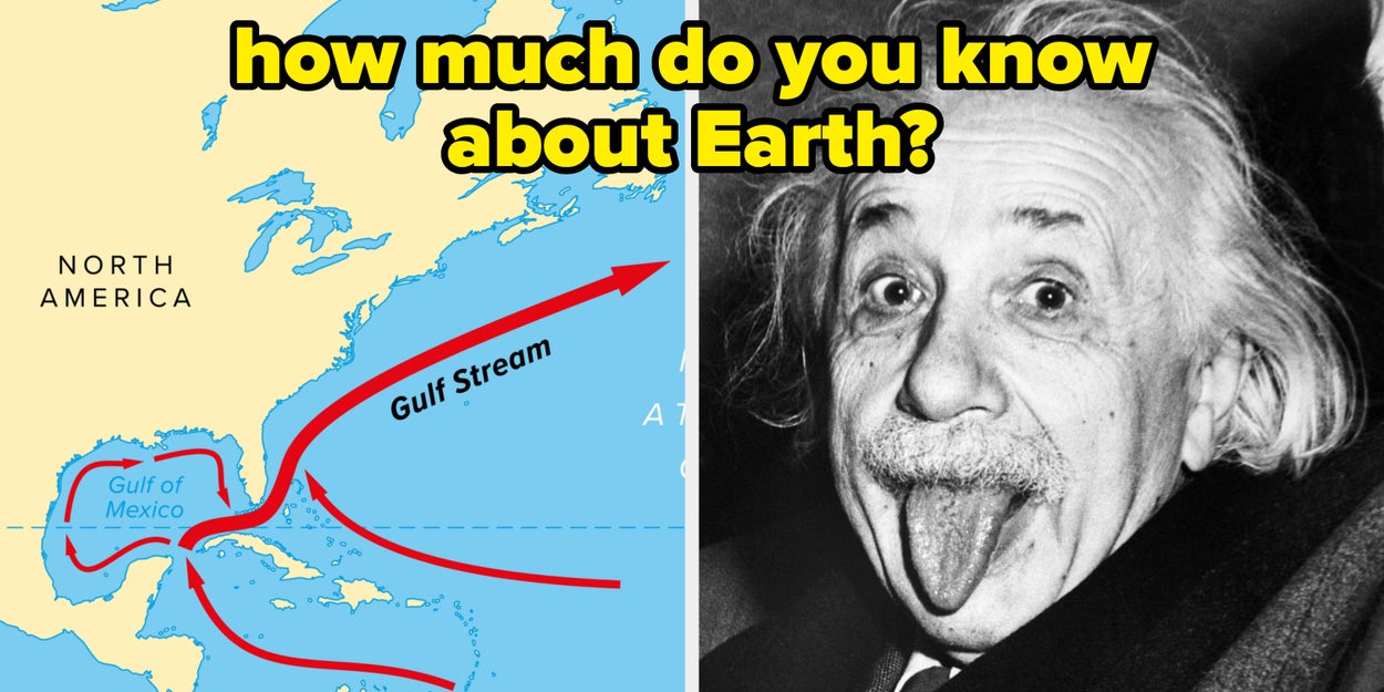 I'm Going To Have To Revoke Your Earth Citizenship If You Can't Ace This Ridiculously Simple Environment Quiz