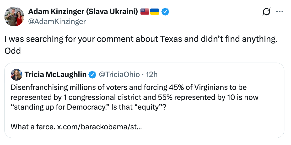 Tweet speech   criticizing governmental  actions successful  Virginia, questioning fairness successful  practice   and democracy