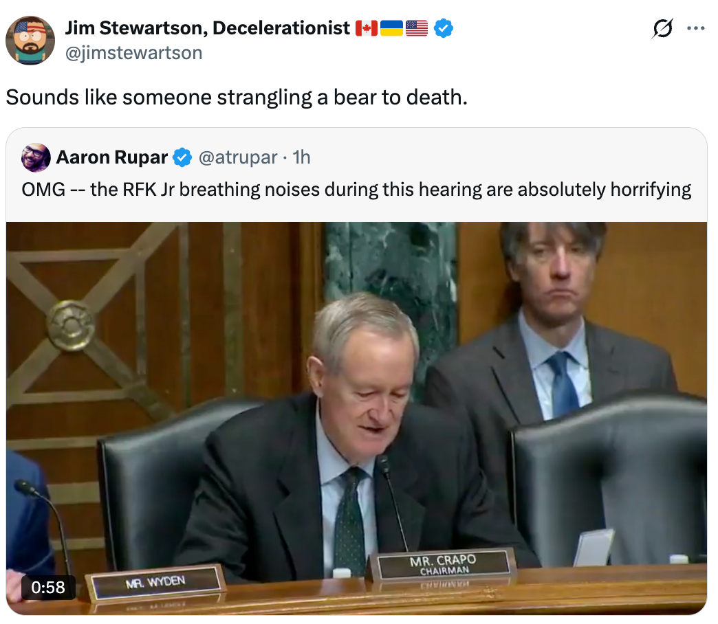 Text speech   connected  Twitter. Jim Stewartson comments connected  a video with Aaron Rupar's tweet astir  RFK Jr's breathing during a hearing