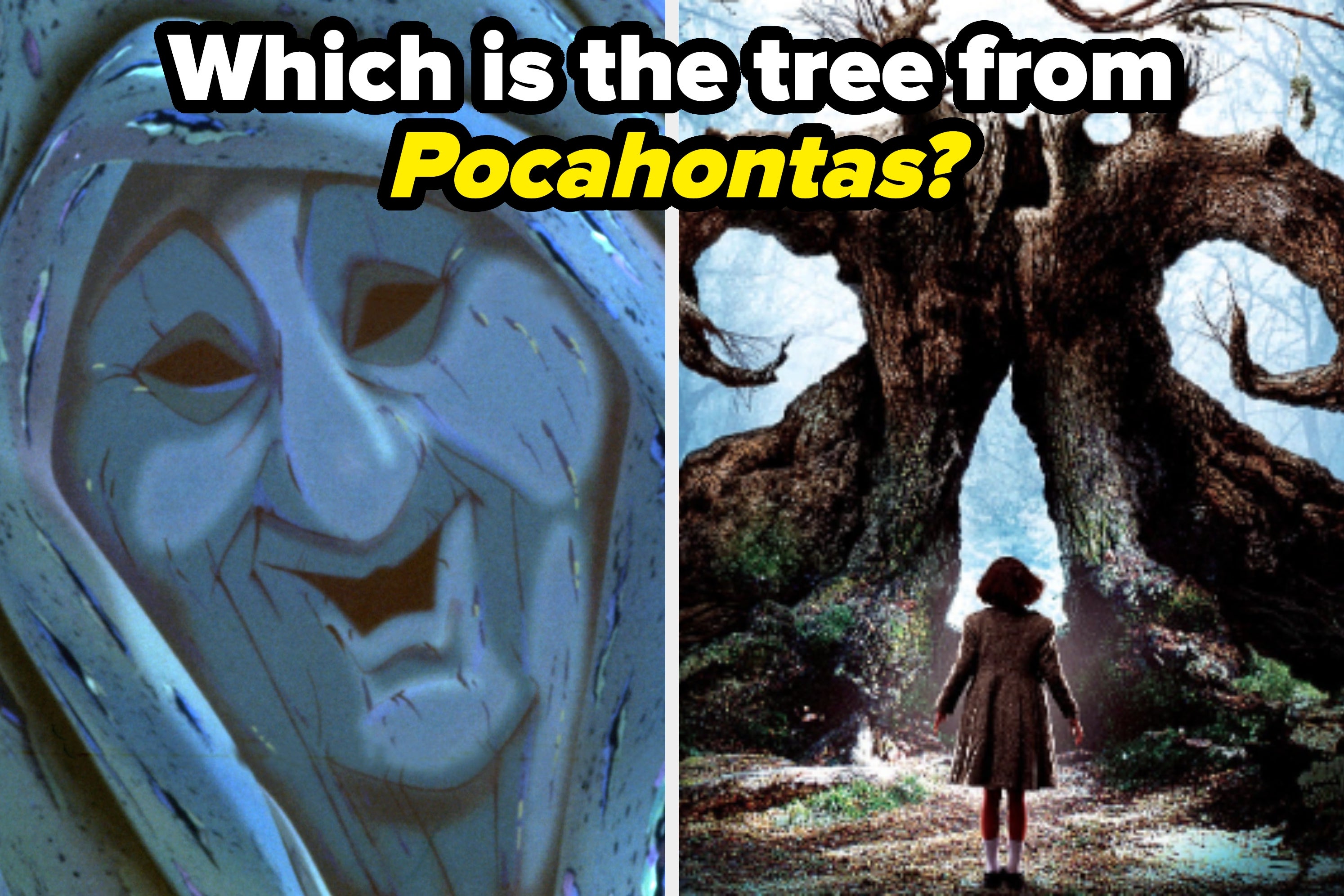 If You Can’t Even Identify 5/20 Of These *Super* Famous Trees From Film And TV, You Need To Watch More Movies AND Touch Grass