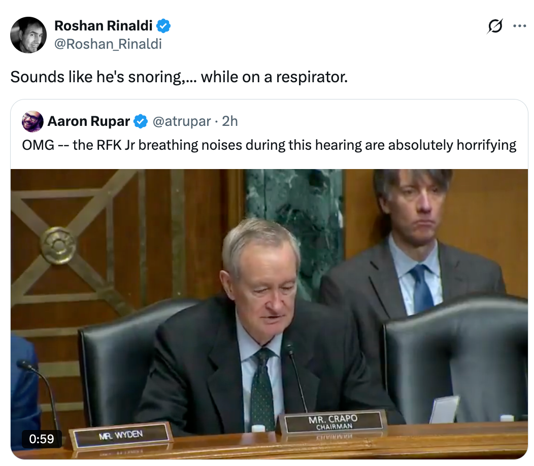 Senator sits astatine  hearing, speaking. Twitter posts supra  sermon   RFK Jr's breathing noises during the hearing, noting they are "horrifying."