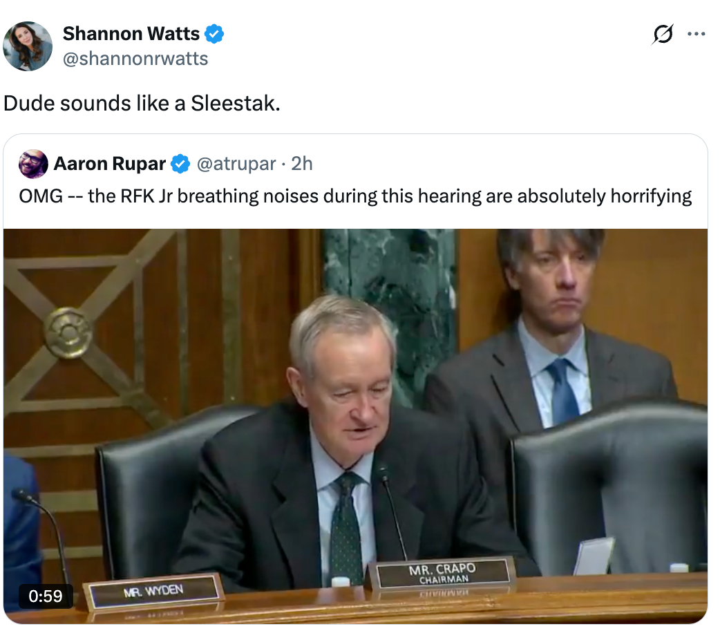 Tweet astir  RFK Jr.'s breathing noises during a hearing, posted by Aaron Rupar and commented connected  by Shannon Watts