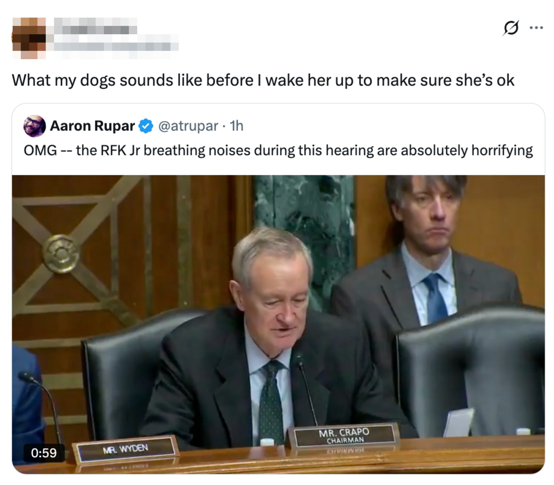 A tweet from @atrupar comparing RFK Jr's breathing noises astatine  a proceeding  to thing  "absolutely horrifying," with a reply   joking astir  canine  noises