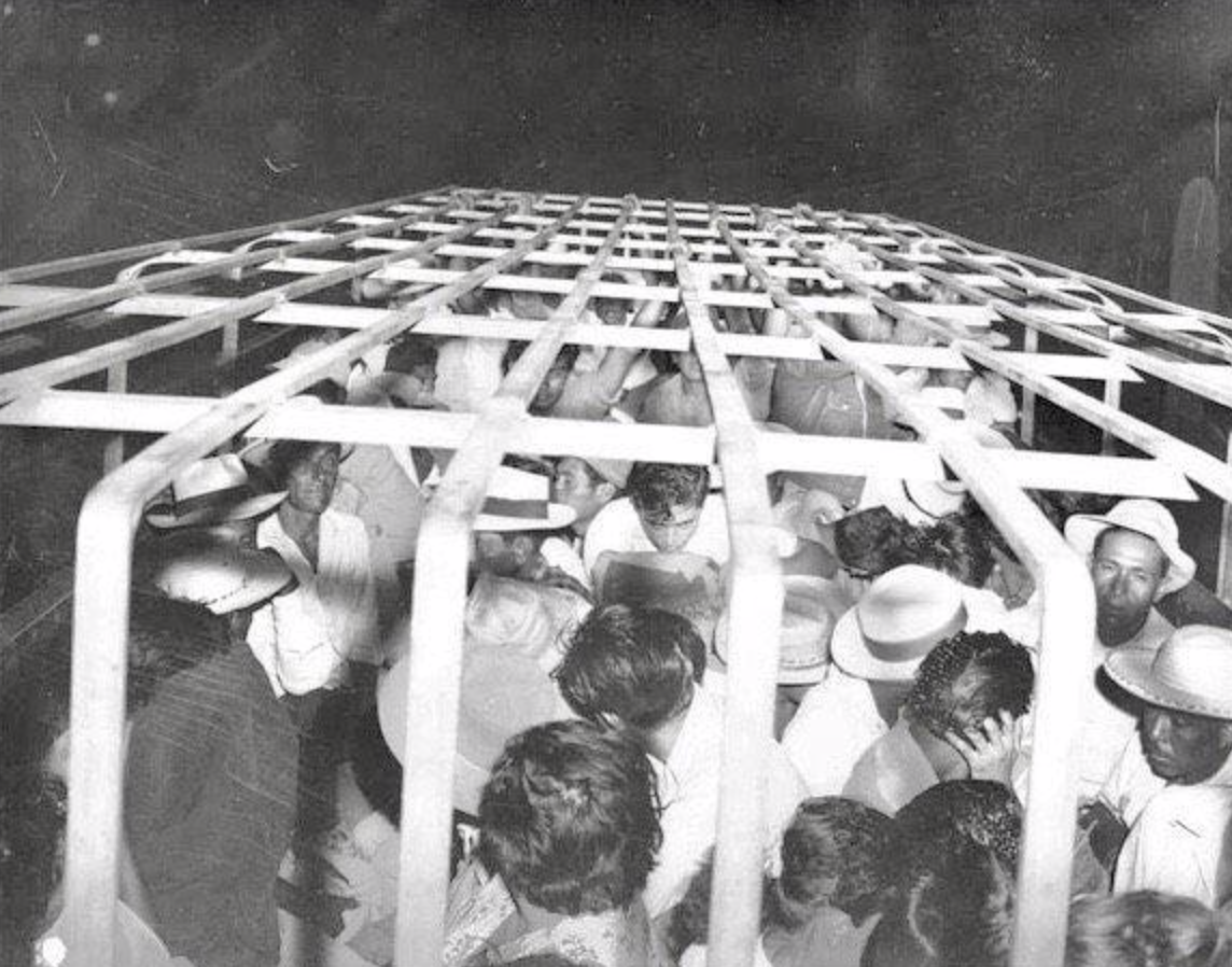 A radical  of radical   gathered astir   a cage-like structure, immoderate   wearing hats, engaging with the scene