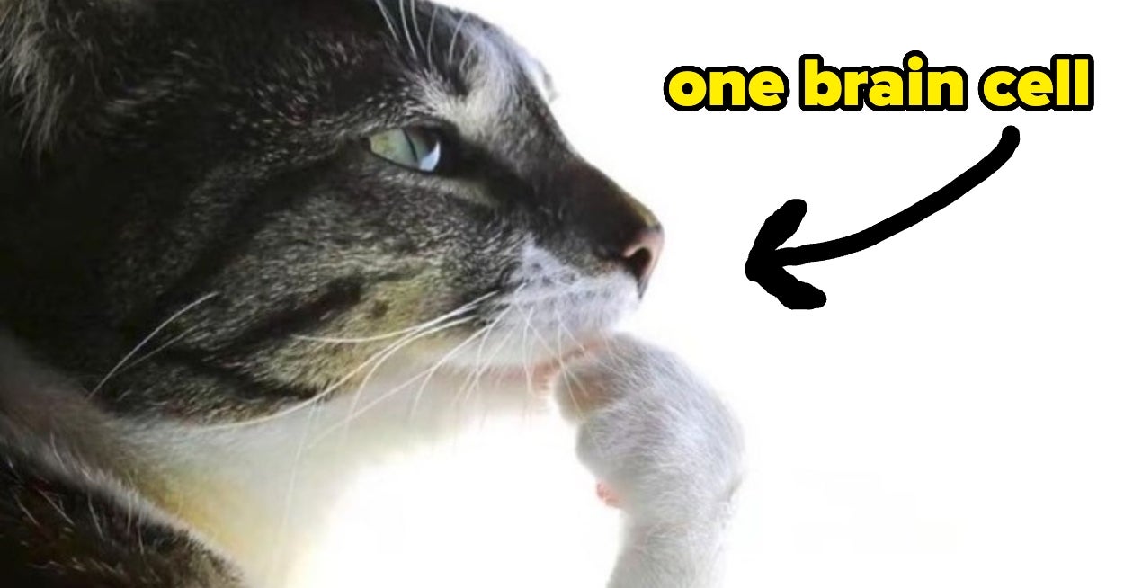 This Detailed Scenario Test Will Measure What Kind Of Smart You Are