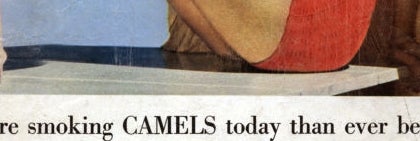 A vintage Camel cigaret  advertisement  featuring a pistillate   promoting the brand, highlighting its popularity and a slogan suggesting doctors fume  Camels