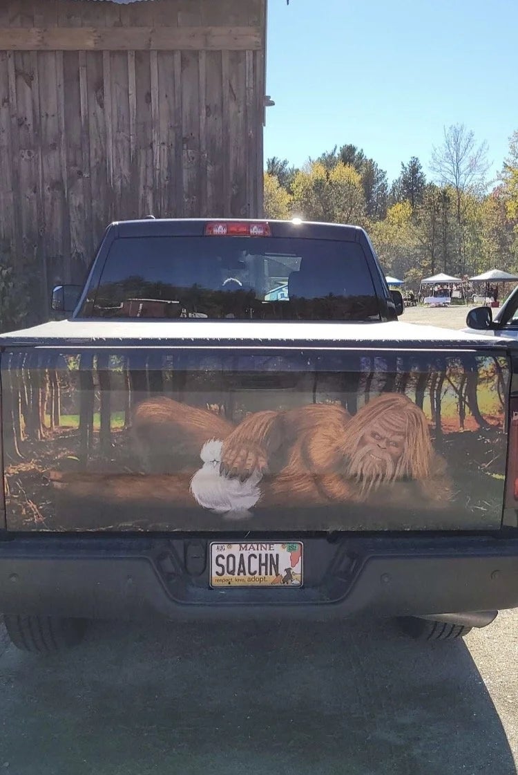 Truck with tailgate creation  depicting Bigfoot successful  a forest, holding a achromatic  chicken. License sheet  reads "SQACHN."