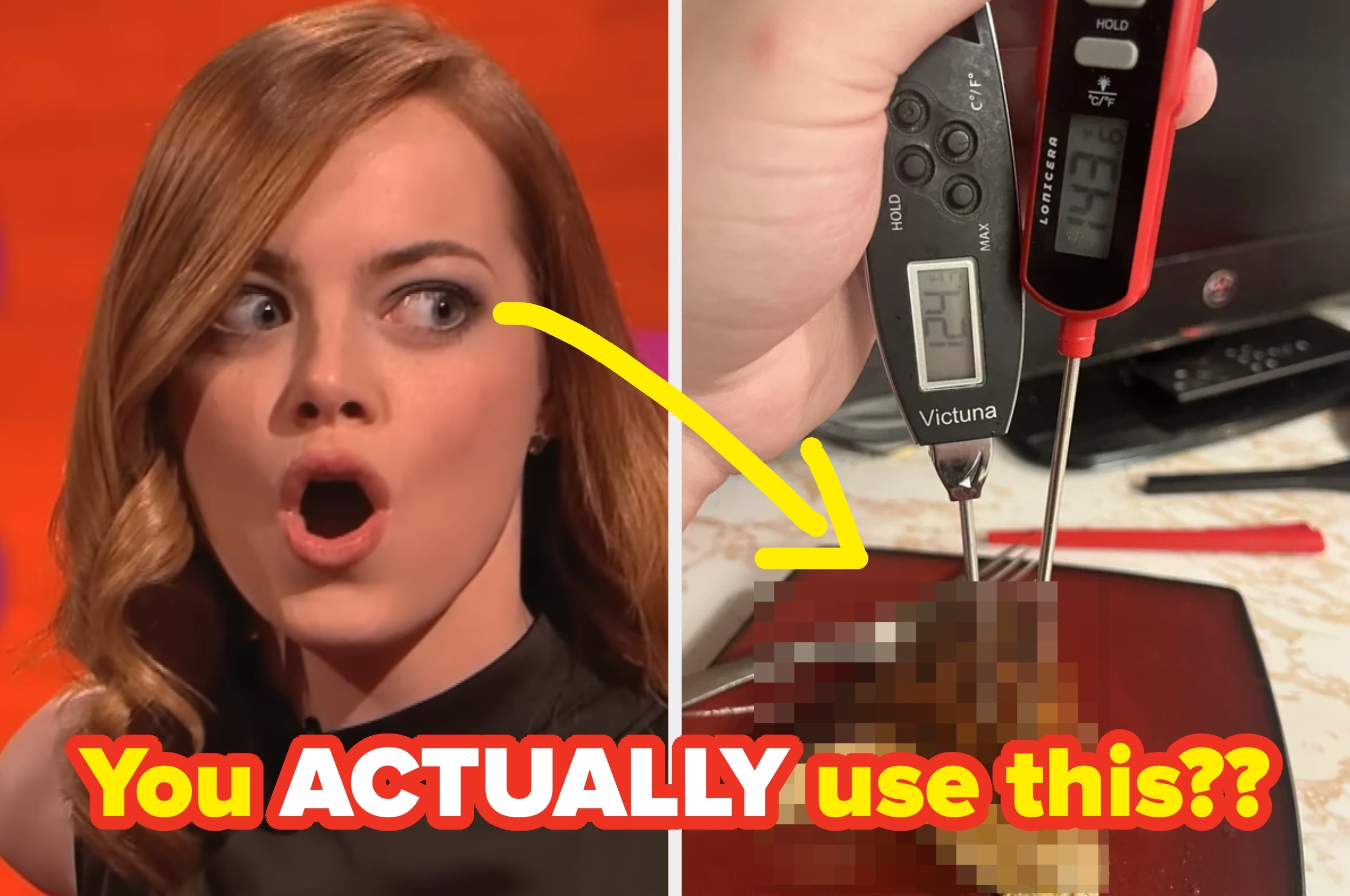 Person looking surprised on TV show; thermometer measuring meat's temperature. Text: "You actually use this??"