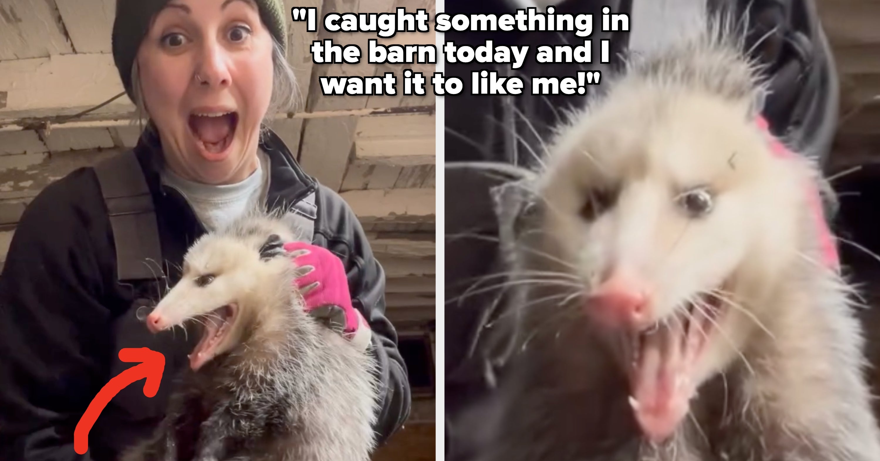 52 Examples Of White People Straight-Up Owning Their "Whiteness" In The Most Embarrassingly Hilarious Way