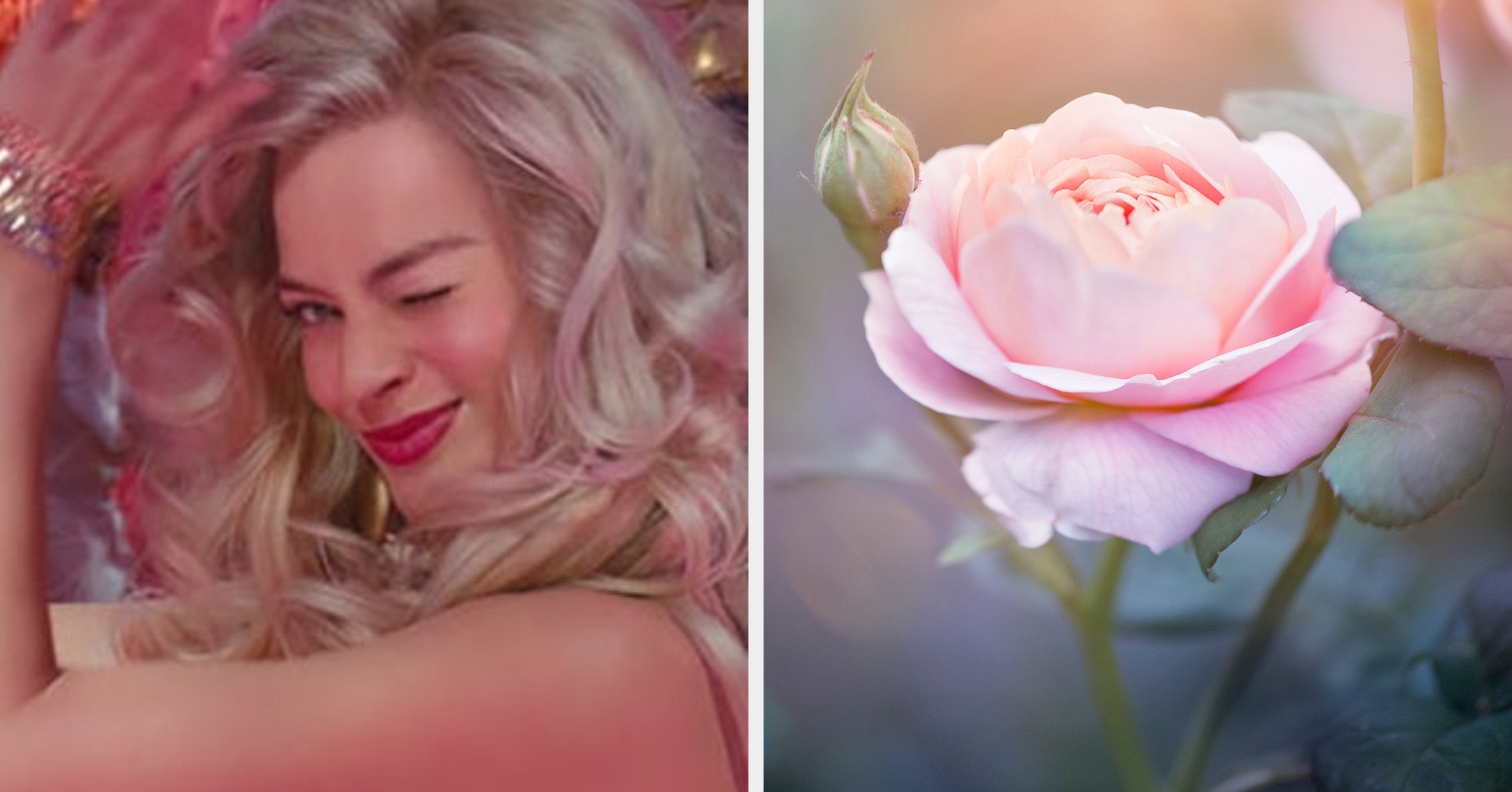 Pick One Movie Per Alphabet Letter And I'll Reveal Which Flower You Are Inside