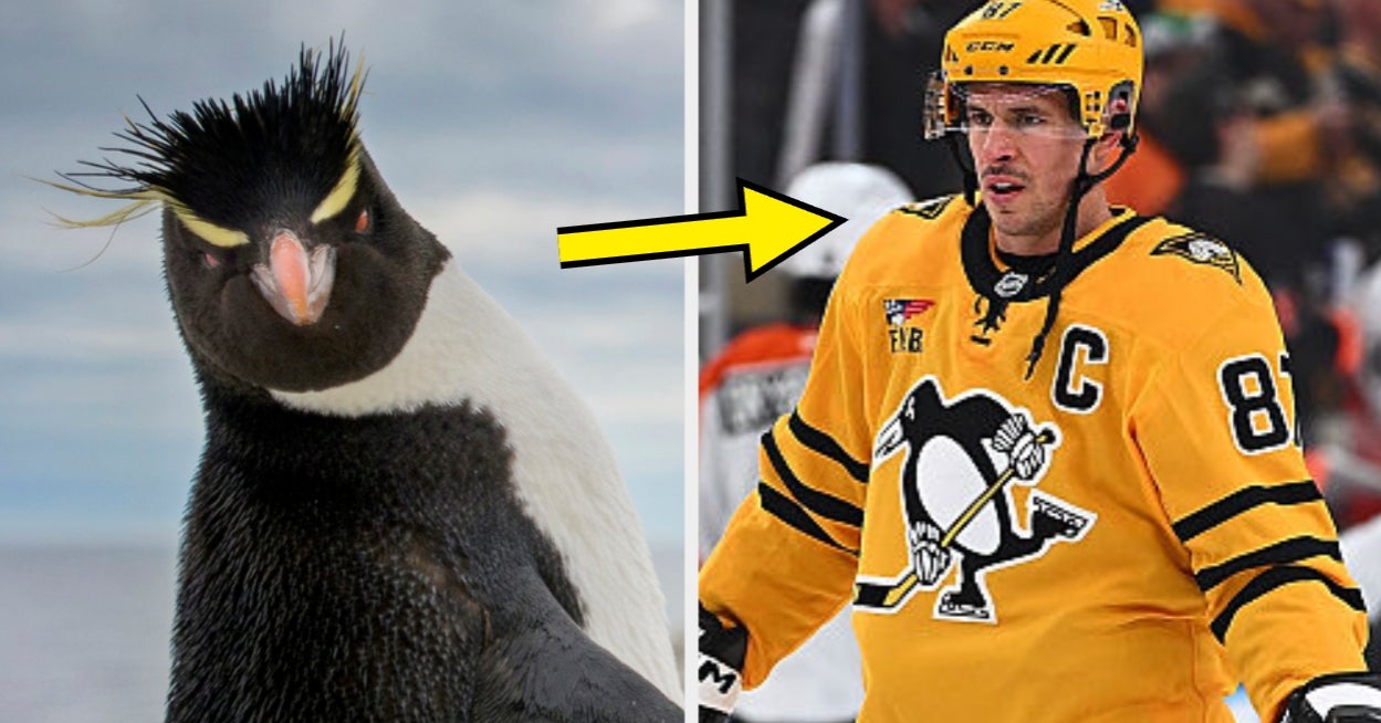 Despite Who Has Your Alliegence, Let's See Which NHL Team Your Personality Says You Should ~Actually~ Be Rooting For