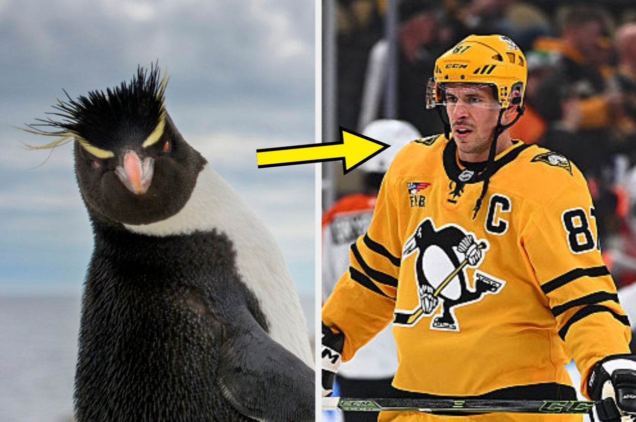 Tell Me About Yourself And I'll Give You An NHL Team To Root For In This Year's Hockey Playoffs