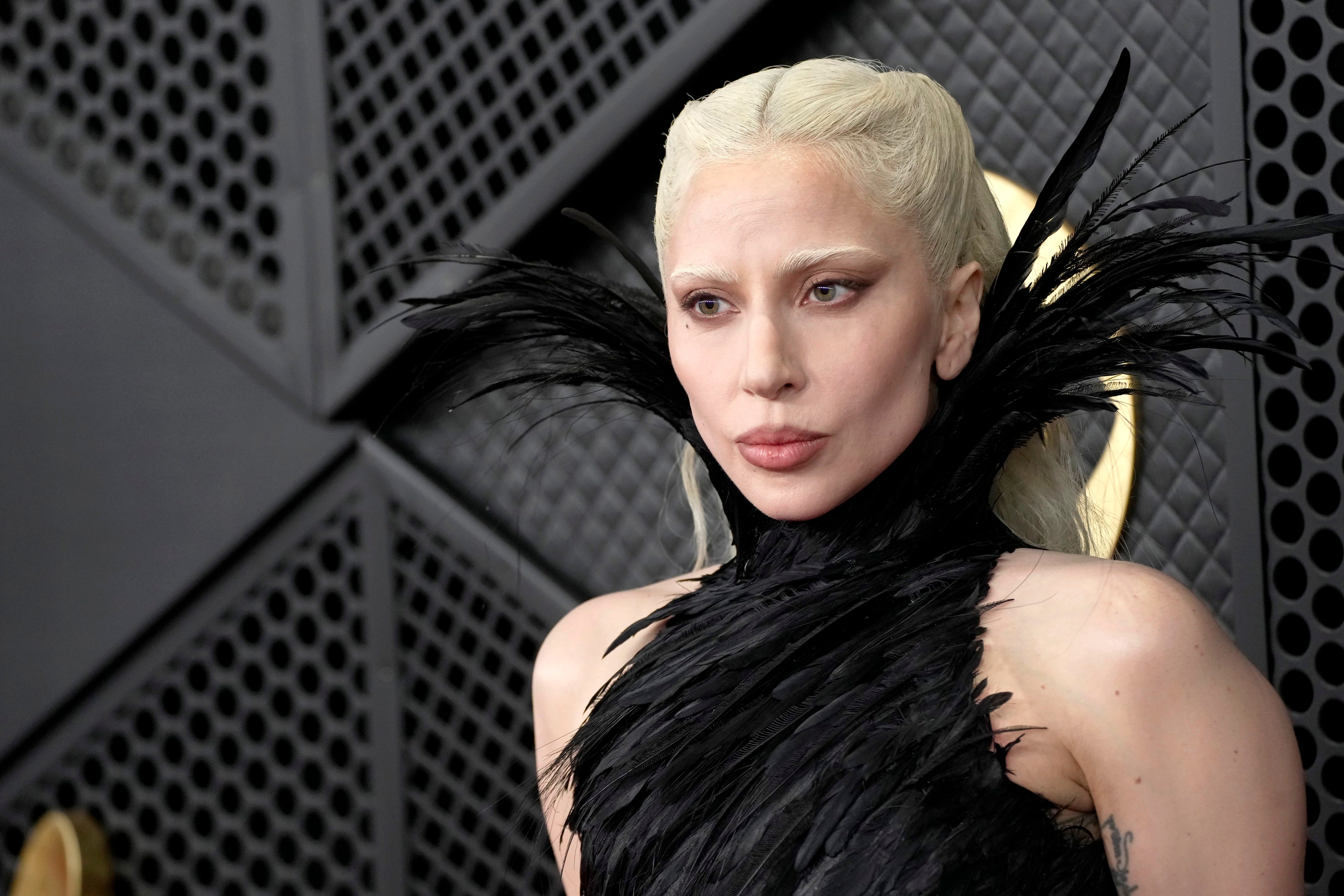 Lady Gaga successful  avant-garde feathered formal  with slicked-back hairsbreadth  astatine  a high-profile event