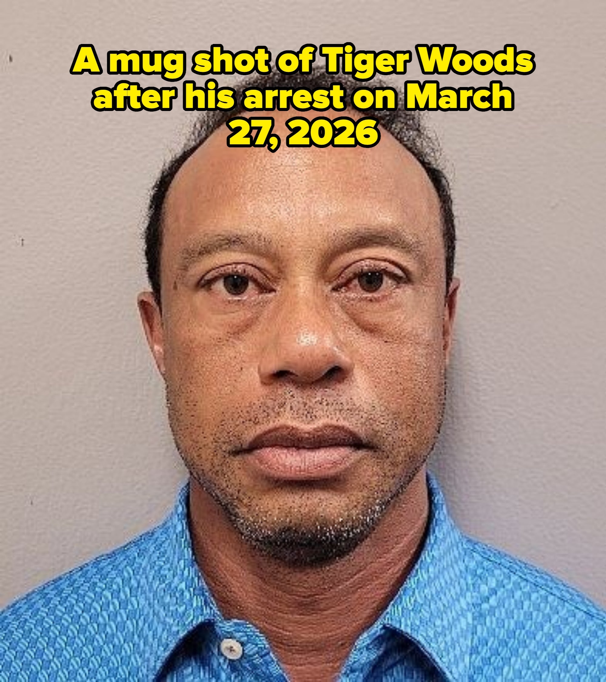 A idiosyncratic   is looking straight  astatine  the camera wearing a textured collared shirt