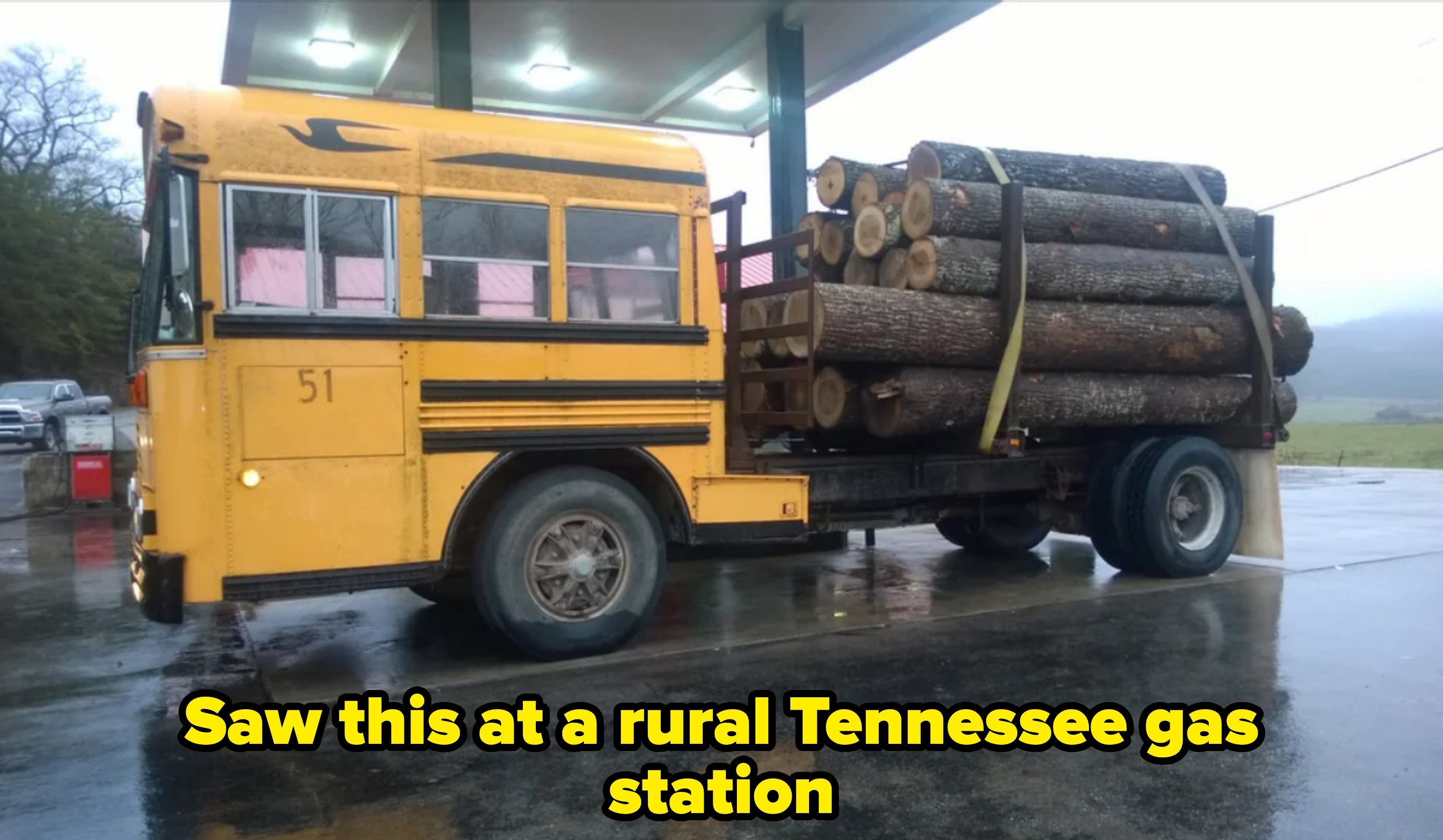 A modified schoolhouse  autobus  astatine  a state  presumption    carries a ample  load   of logs connected  its back
