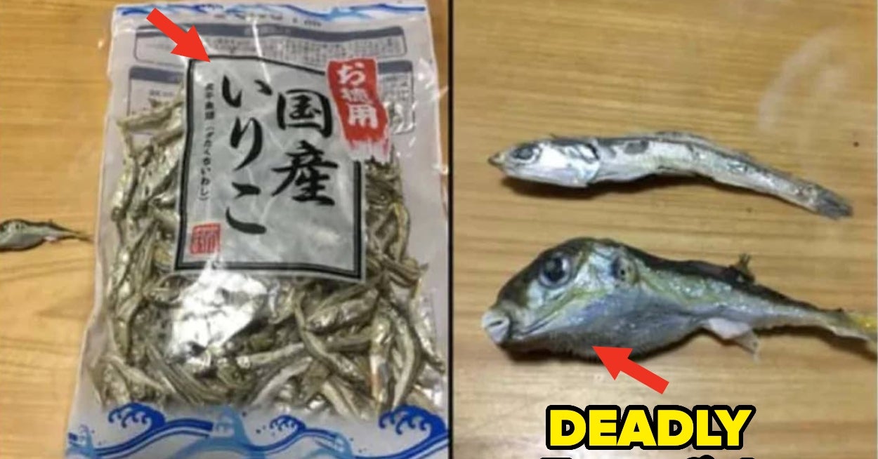 40 Shocking Photos Of People Cheating Death (At Least For The Time Being)